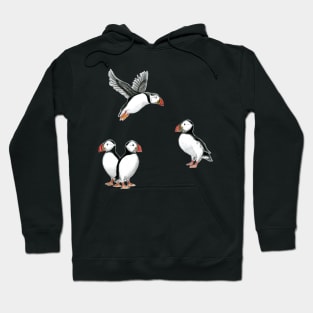 Puffin Stickers I Hoodie